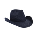 CBC03 C.C Brand Sequin Detail Cowboy Hat With Suede Trim - MiMi Wholesale