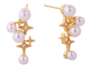DJE310709 14K Starry Sky Post Earrings - MiMi Wholesale