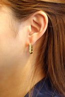 SJE310519 14K Dipped CZ Paved Rectangle Hoop Earrings - MiMi Wholesale