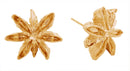 SJE311000 14K Star Anise Post Earrings - MiMi Wholesale