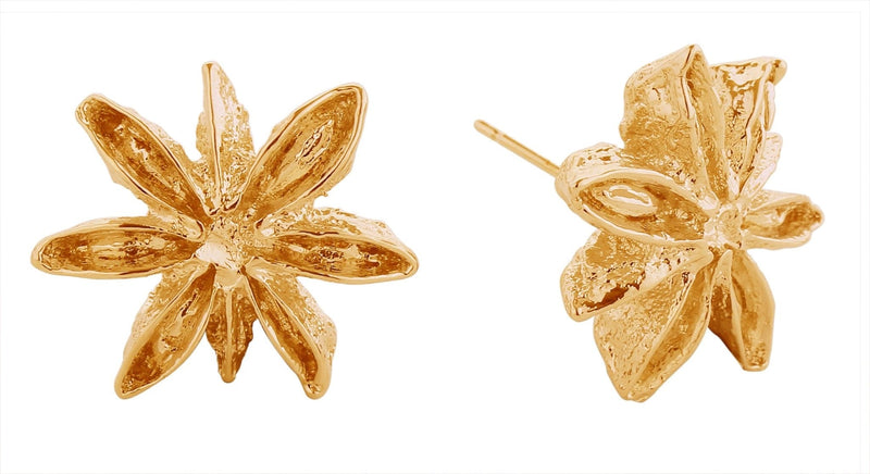 SJE311000 14K Star Anise Post Earrings - MiMi Wholesale