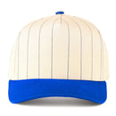 TCM1001 Pinstripe Trucker Hat - MiMi Wholesale