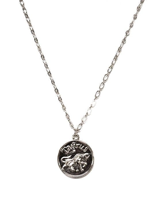 TN9114 Assorted 12 Piece Gold or Silver Zodiac Sign and Name Medallion Necklace Pack - MiMi Wholesale