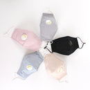 FM2108BV Light Blue Reusable Face PM2.5 Mask with Moisture Valve - MiMi Wholesale