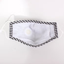 FM2109BV Gingham Light Blue Reusable Face PM2.5 Mask with Moisture Valve - MiMi Wholesale