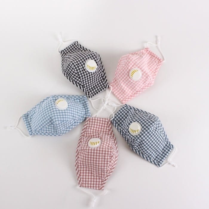 FM2109BV Gingham Light Blue Reusable Face PM2.5 Mask with Moisture Valve - MiMi Wholesale