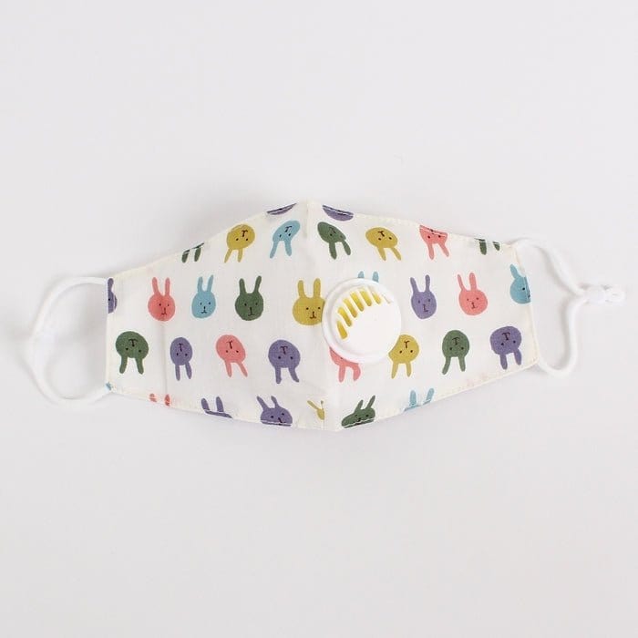 FM2210BV Reusable Kids Face PM2.5 Mask with Moisture Valve - MiMi Wholesale