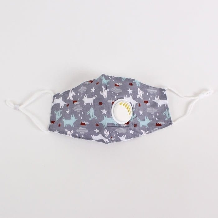 FM2210BV Reusable Kids Face PM2.5 Mask with Moisture Valve - MiMi Wholesale