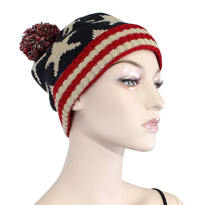 HT14101 American Flag Knit Hat